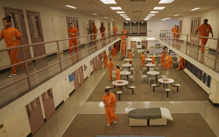 Pre-trial Detention Facility - Types of Inmates Housed - VCSD