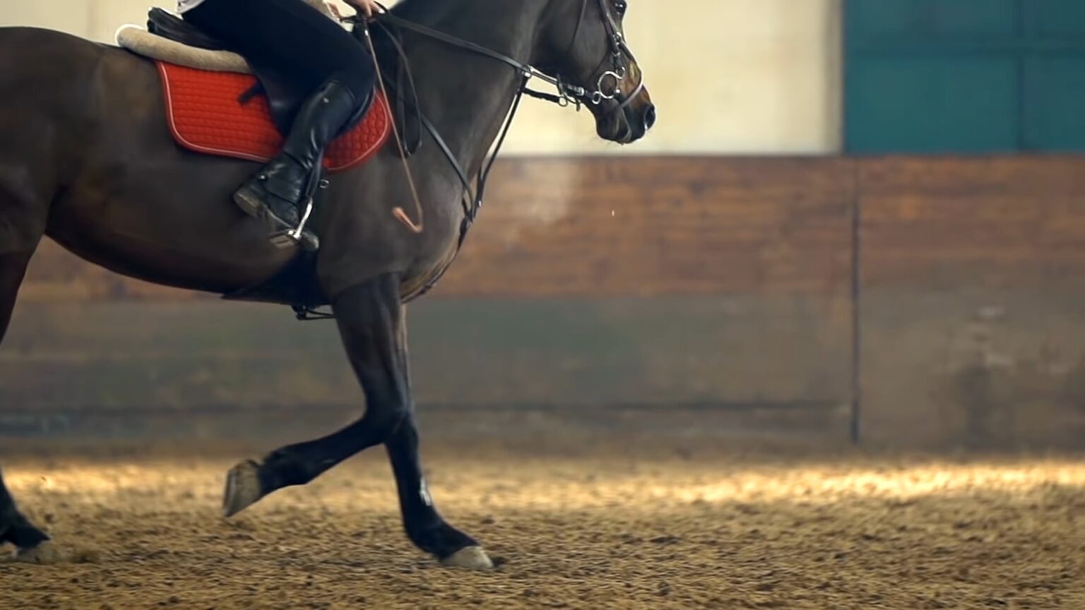 horse-racing-trainers-archives-vcsd