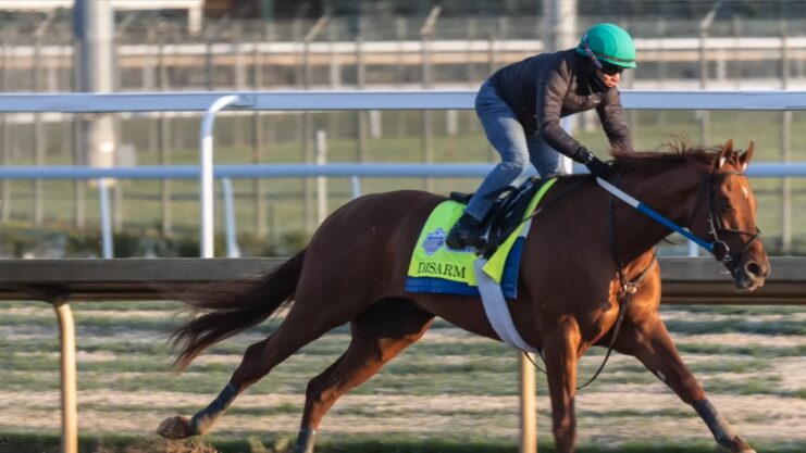 Understanding The Betting Options For The Kentucky Derby - Your Guide ...